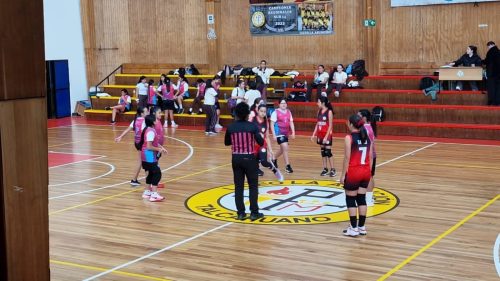 Básquet 3