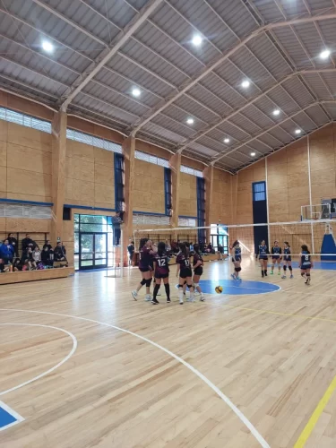 Vóleibol Categoría sub 14