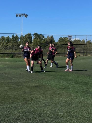 b1744f53-a419-4fac-bdf6-0c2a10ea4ad6