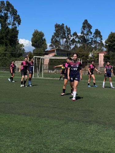 b5d9a0dd-9ba1-476b-b2c9-4c99fba51de6