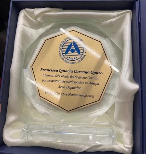 dced389a-97f9-47d8-b4e3-0aba176db052